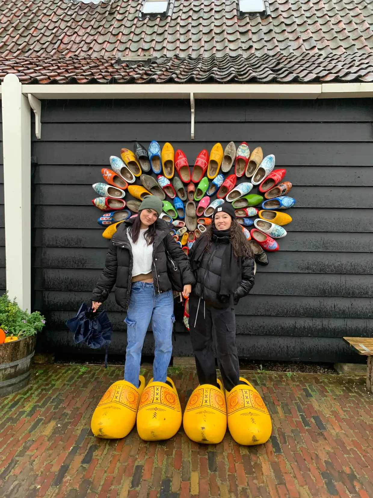 molinos de holanda